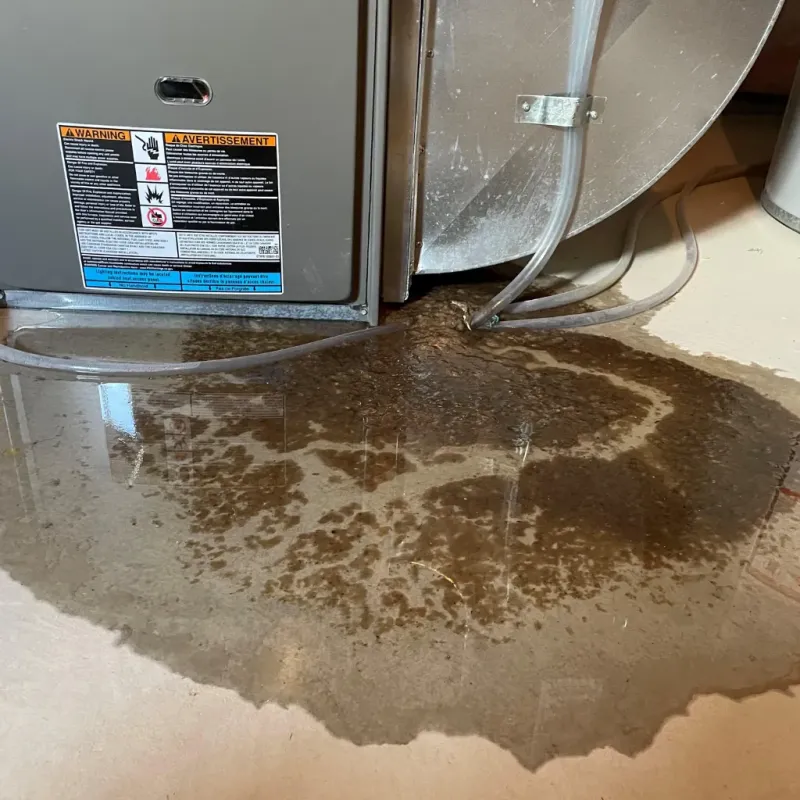 Appliance Leak Cleanup in Gulf Hills, MS